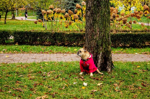 Découvrez les Meilleurs Exercices de Respiration pour Évacuer le Stress au Bureau !