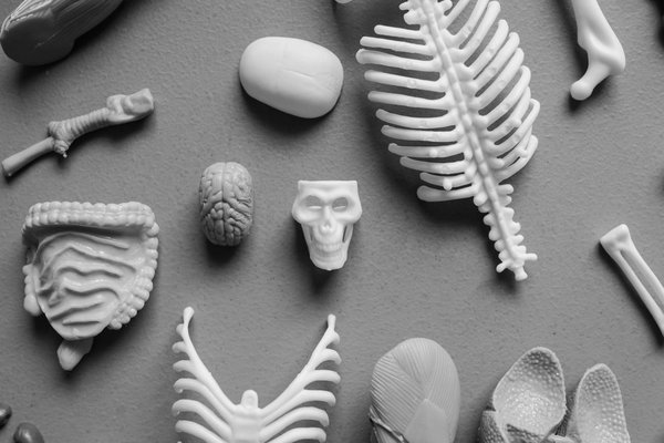 Les obligations légales incontournables des pharmacies de garde